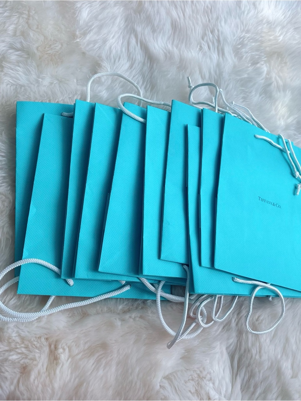 Authentic Tiffany & Co. LARGE Gift Bags LOT of 10 (brand new)
